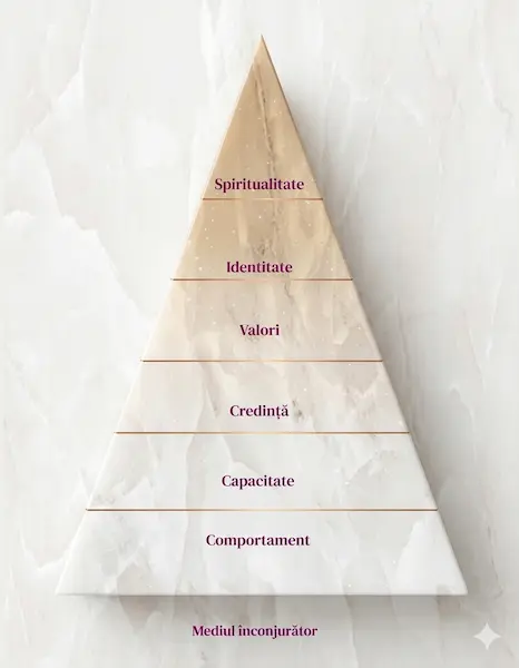 Niveluri Neurologice NLP